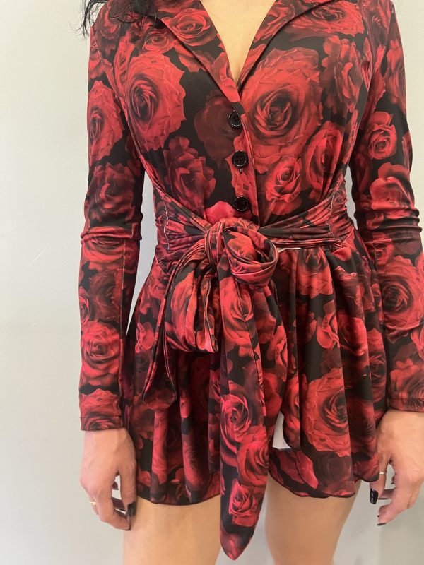 Ailin red dress - Image 2
