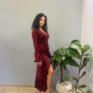 Nina bordeux dress