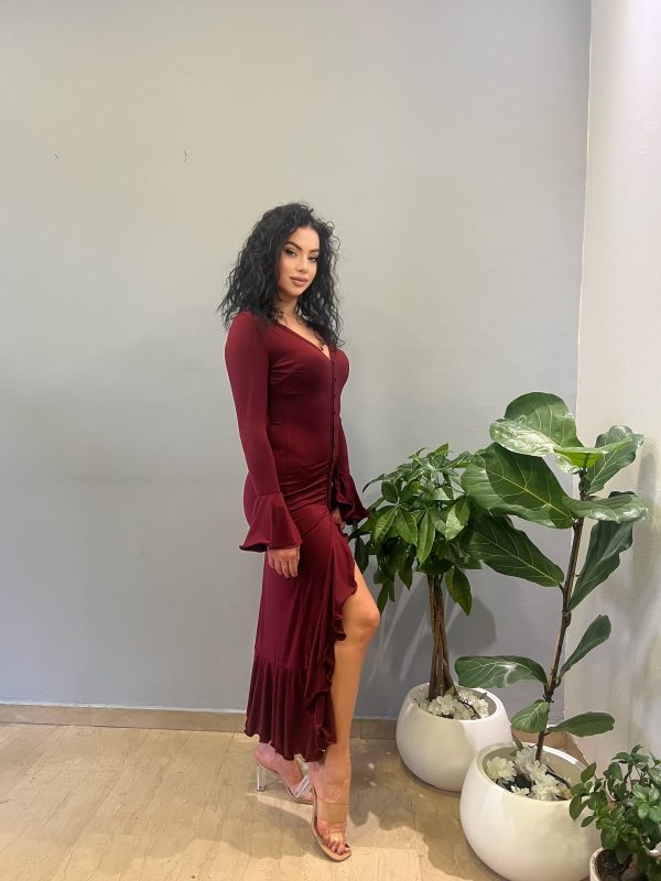 Nina bordeux dress