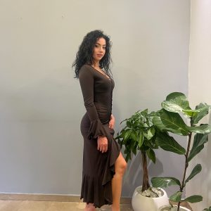 Nina brown dress