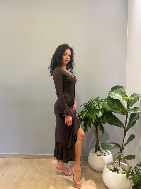 Nina brown dress