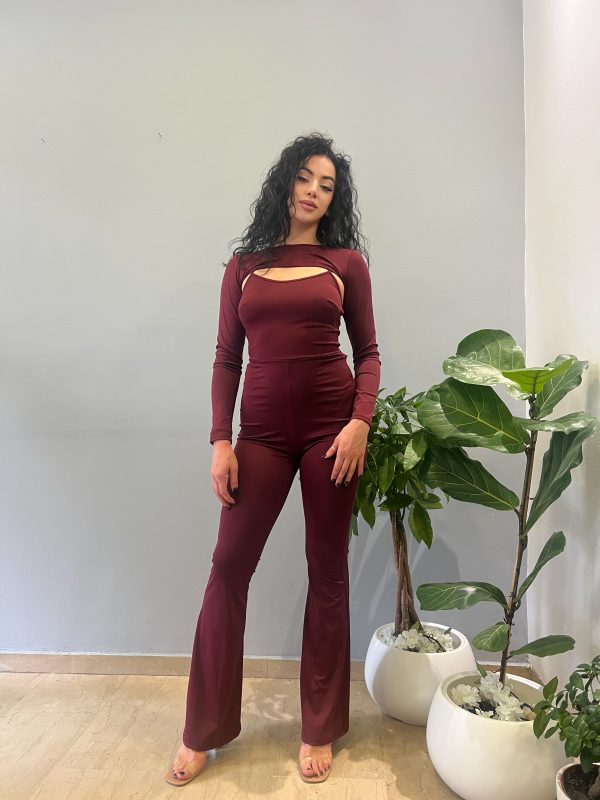 Janet jumbsuit bordeux